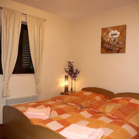 Apartment Apartments 