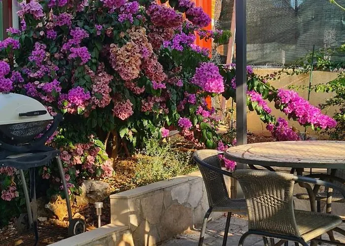 Apartment Apartments 